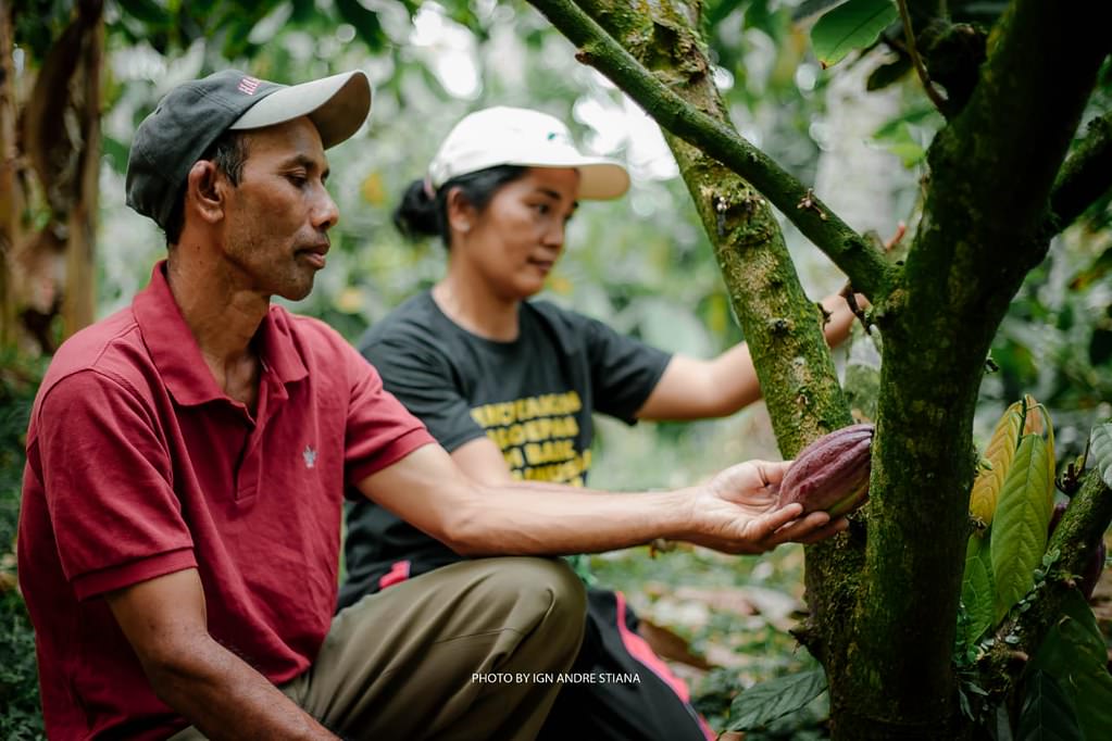 Manage Risk with the Rainforest Alliance Child Labor and Forced Labor ...