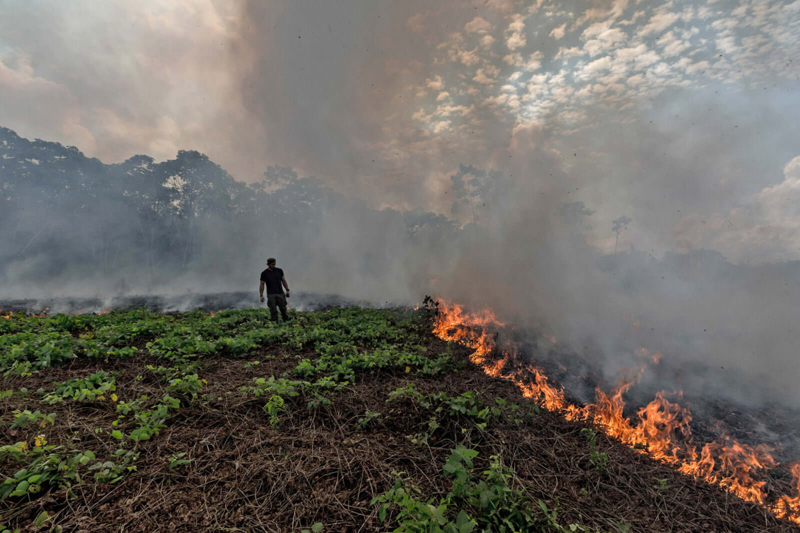 What Is The Relationship Between Deforestation And Climate Change 