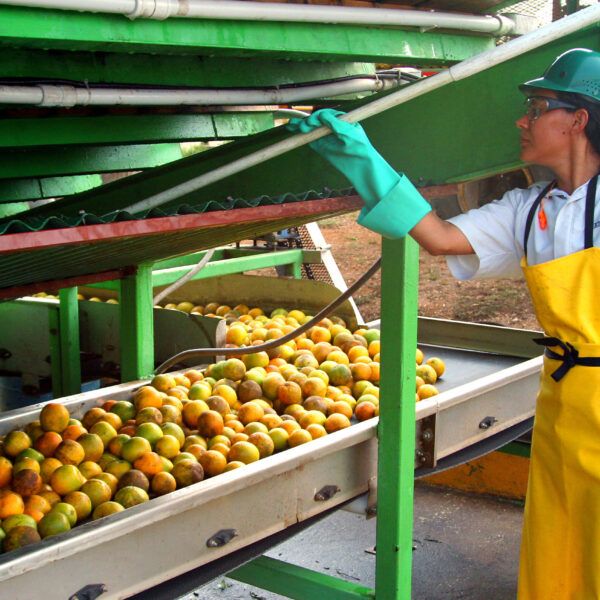 A worker standing in front of equipment in an orange factory in Costa Rica