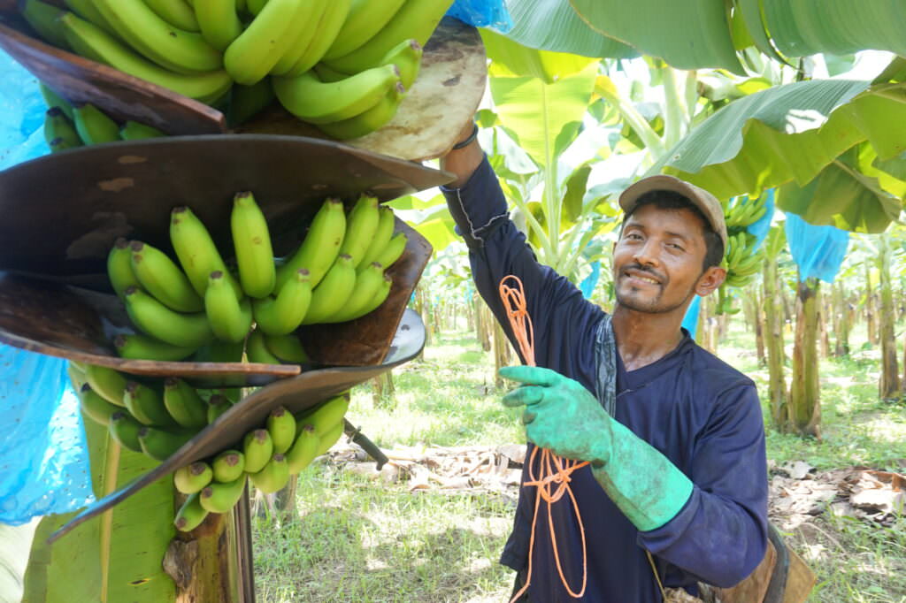 One Step Further for the Wellbeing of Banana Workers | Rainforest Alliance