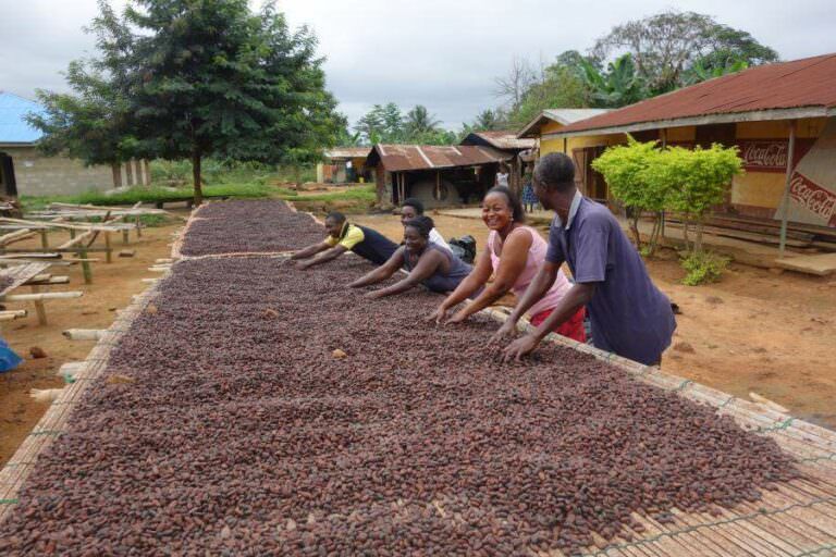 Eliminating Deforestation from Ghana’s Cocoa Supply Chain | Rainforest ...