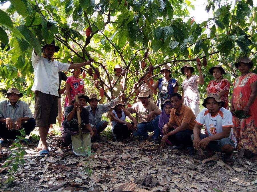 Preparing Cocoa Farmers For Climate Change | Rainforest Alliance