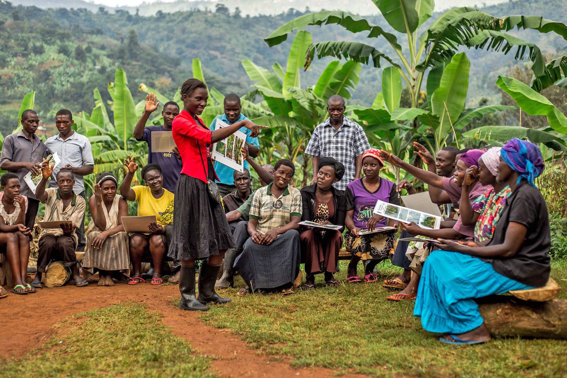 The Perks of Sustainable Coffee, for Ugandan Farmers | Rainforest Alliance