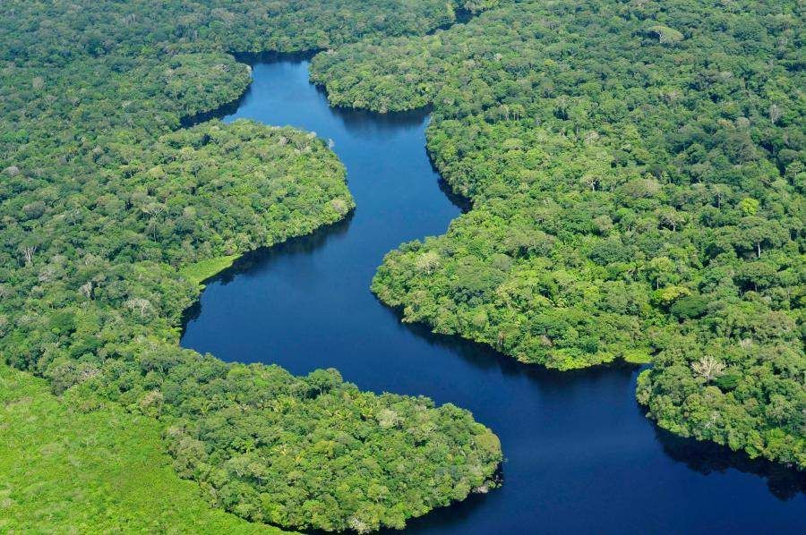 10 tropical rain forests that you should visit at least once in your  lifetime - News18