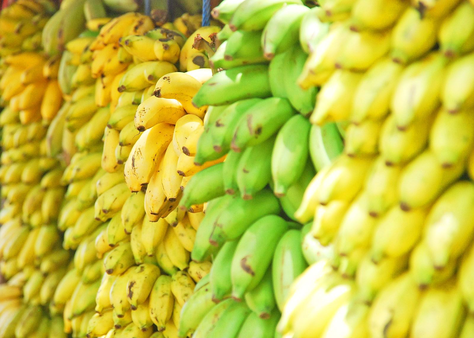 One Banana sees rising demand for organic bananas
