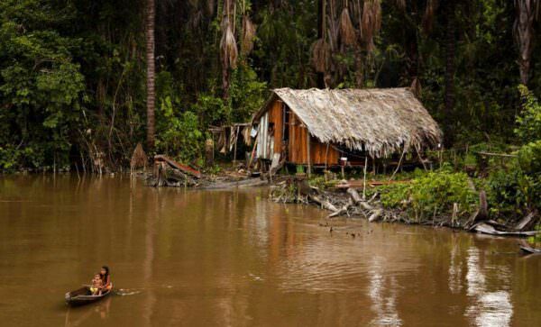 Brazil: Rainforest Alliance Calls On Brazilian Government To Save