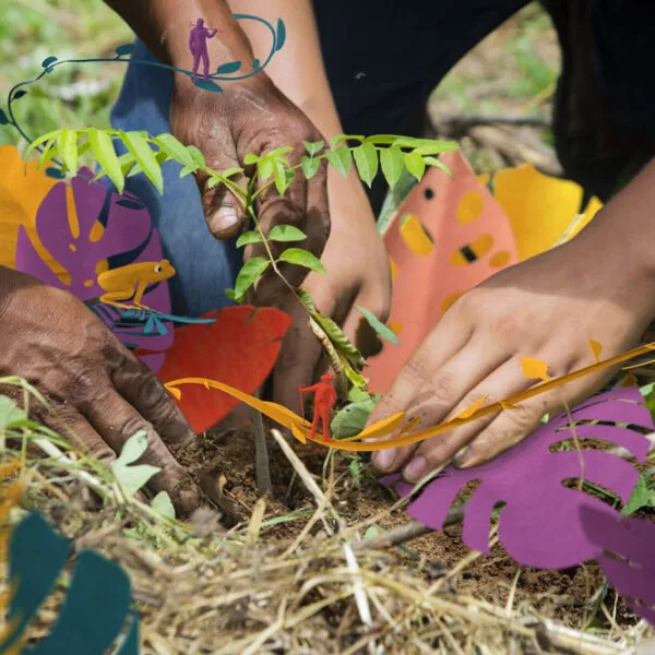 Reforesting header