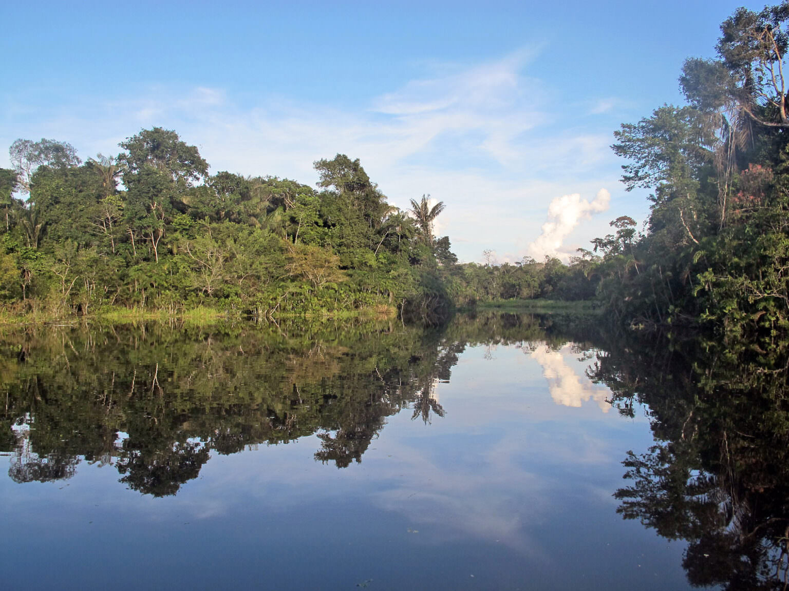 Amazon Basin Archives | Rainforest Alliance