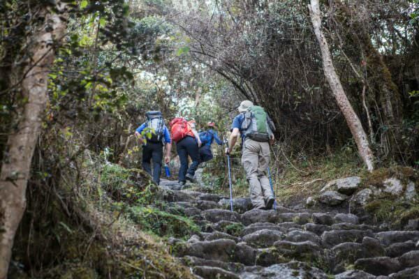 Explorandes Perú - Inca Trail