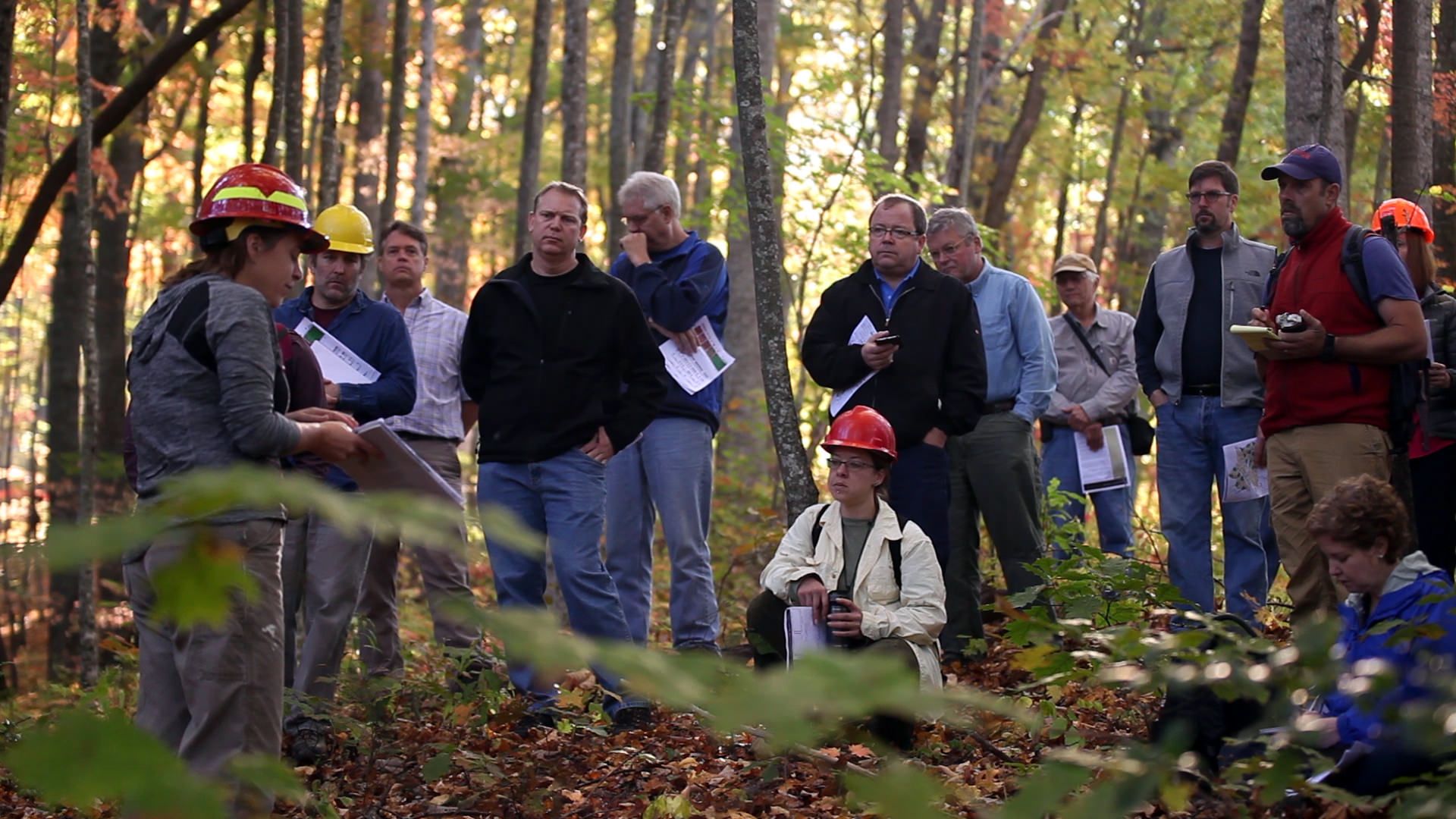 How Our Forest Allies Community Of Practice Collaborates 