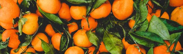 oranges - header