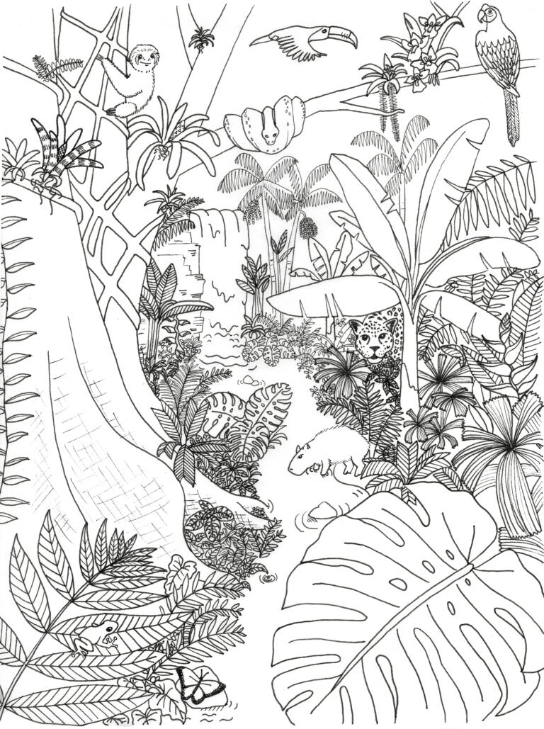 Coloring Pages Archives | Rainforest Alliance