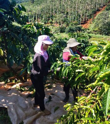 Project Profile: Tackling Child Labor in Coffee Supply Chains in ...