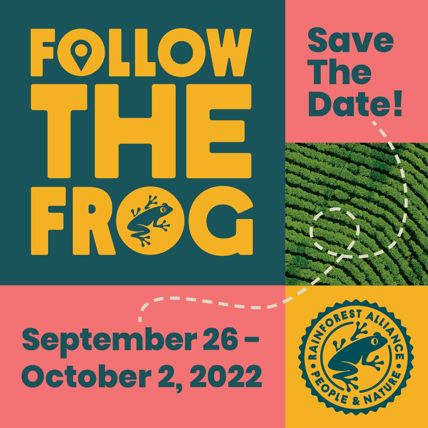 カエルを探そう Follow The Frog キャンペーン Rainforest Alliance