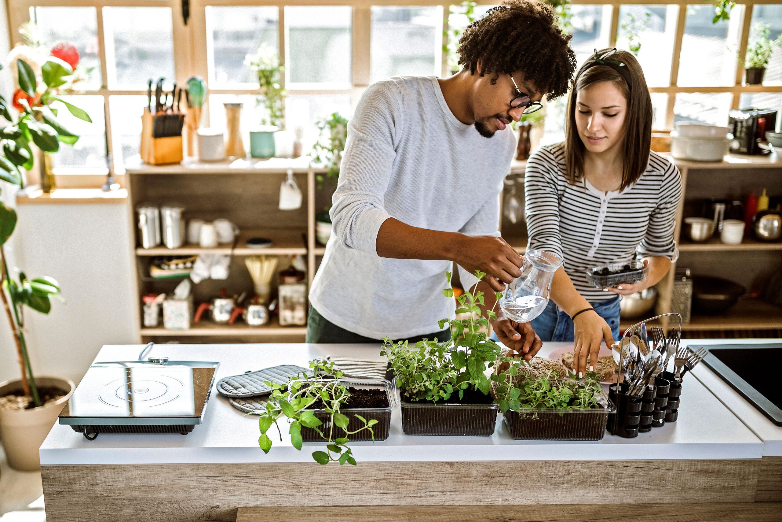 Countertop composting catches on among apartment-dwellers