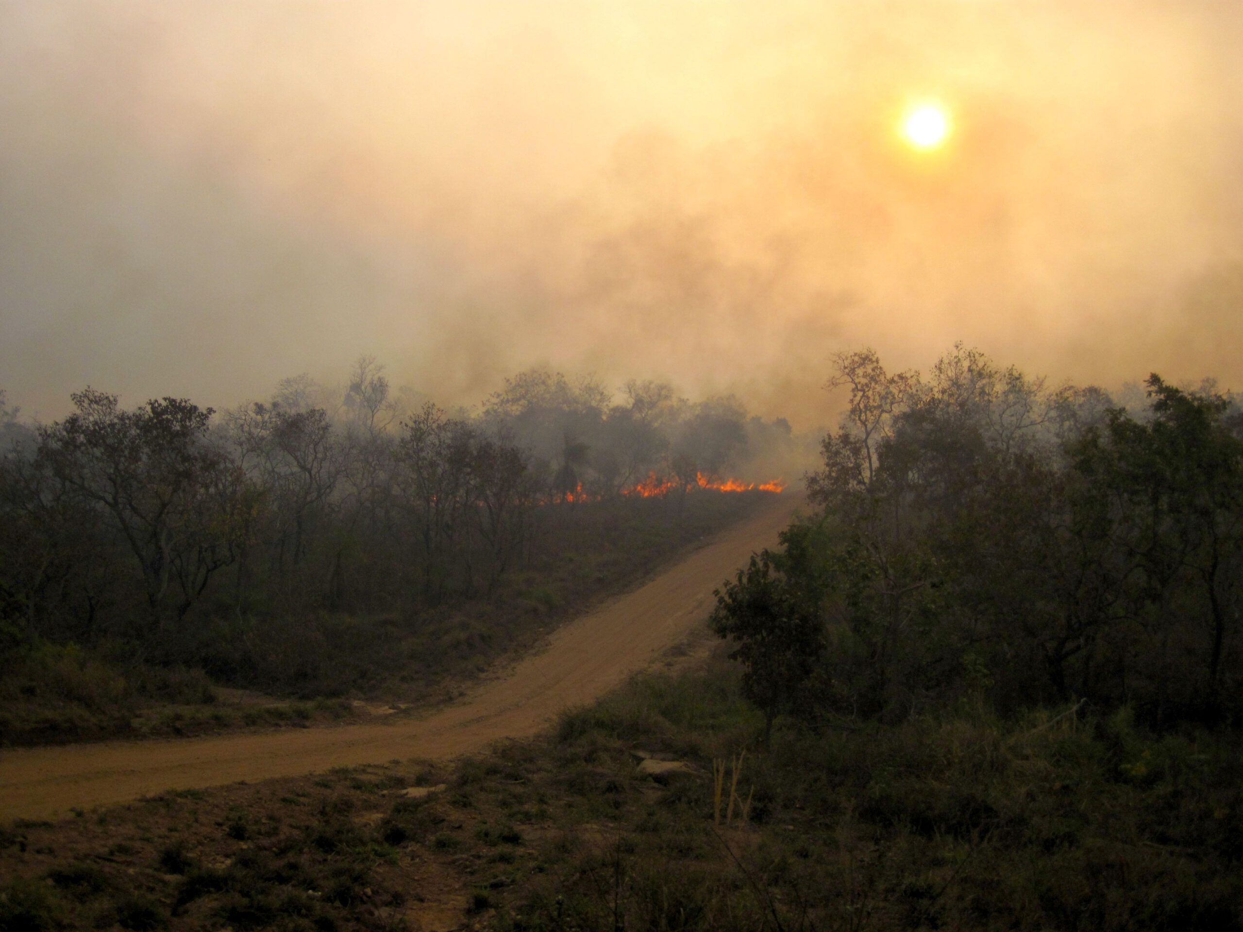 Our Work to Prevent Forest Fires Rainforest Alliance