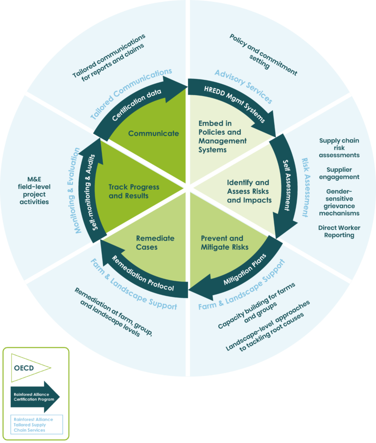 Rainforest Alliance Certification and Beyond: Useful Tools for Company ...