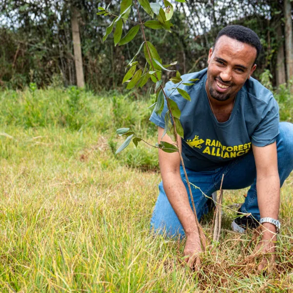 Man planting tree