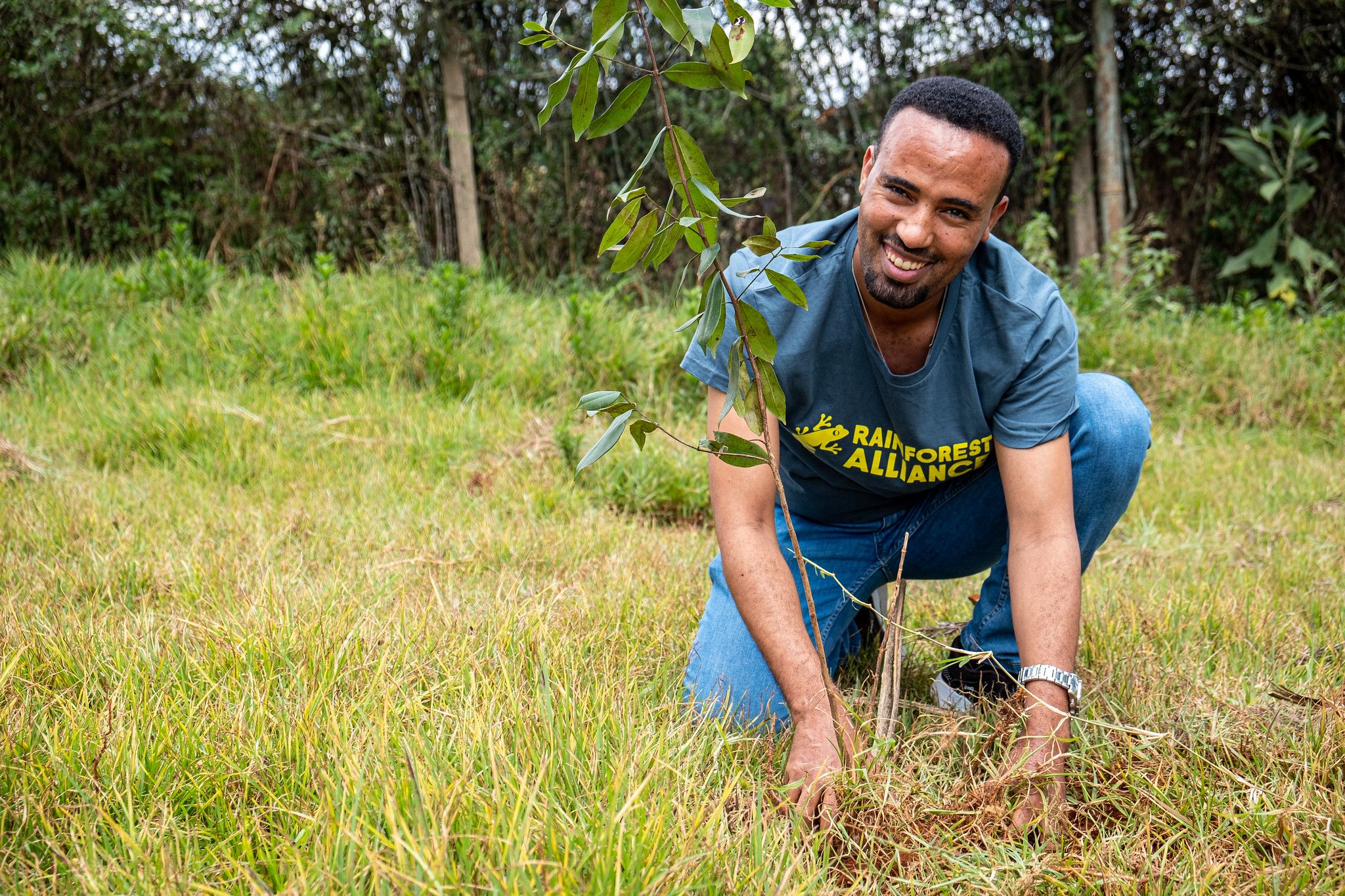 Man planting tree