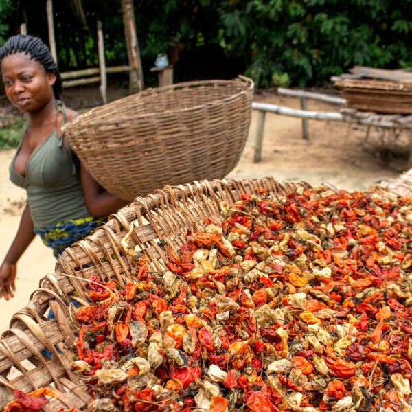 A woman holds a basket, next to a large amount of dried chilli peppers