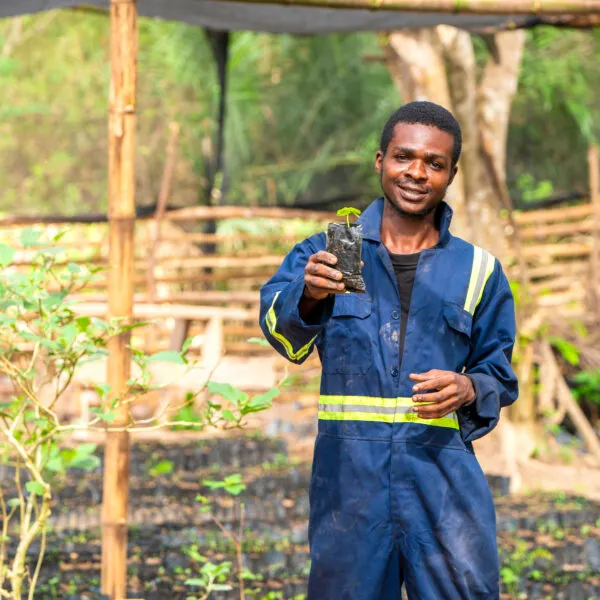 A smiling man holds tree seedling