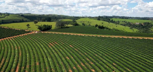 Vista aerea de uma fazenda de café